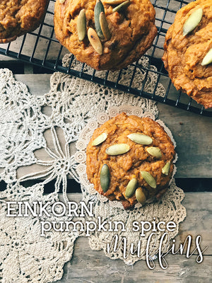 Einkorn Pumpkin Spice Muffins
