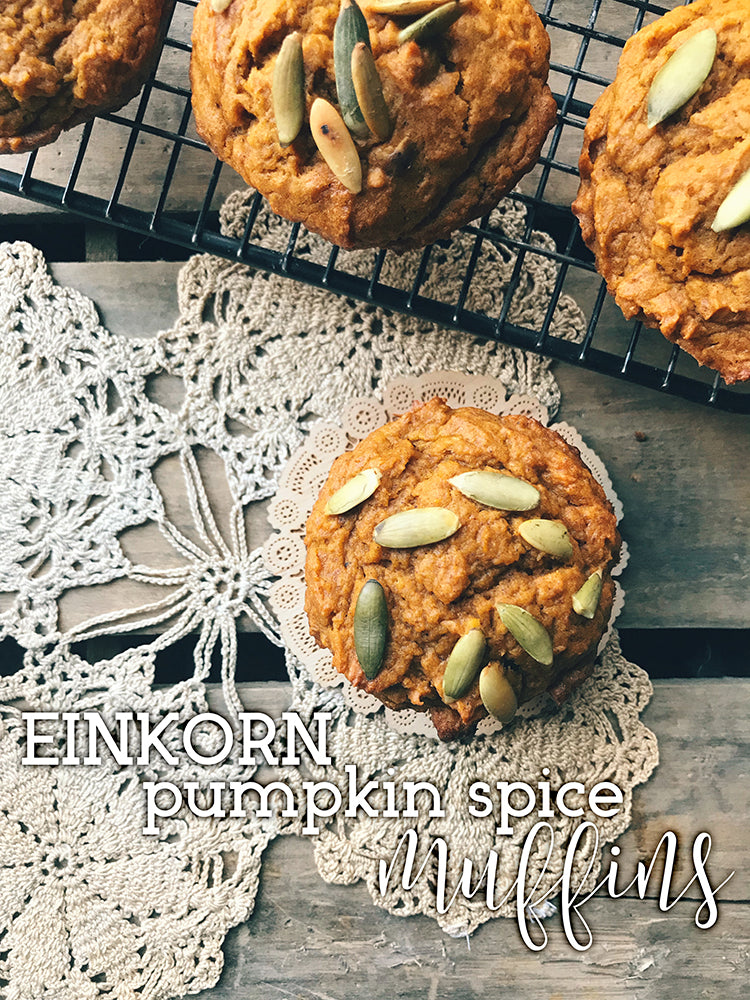 Einkorn Pumpkin Spice Muffins